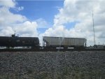 ITLX 48258
